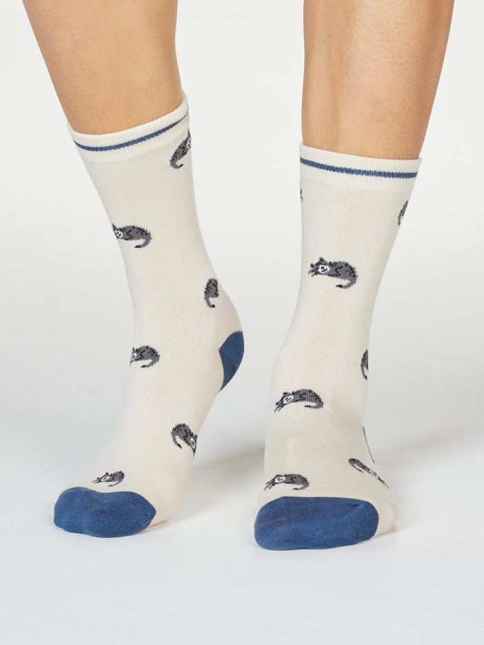 Sokid “Magavad kassid”