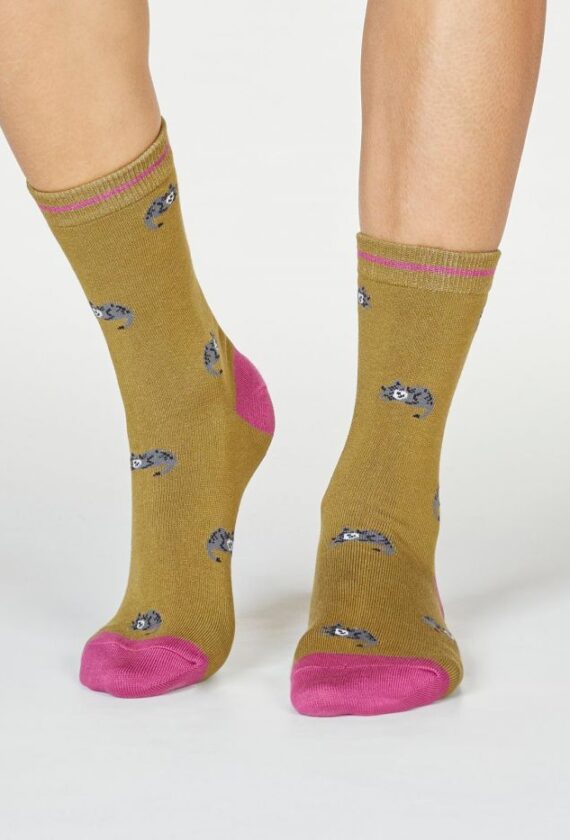 Sokid “Magavad kassid”
