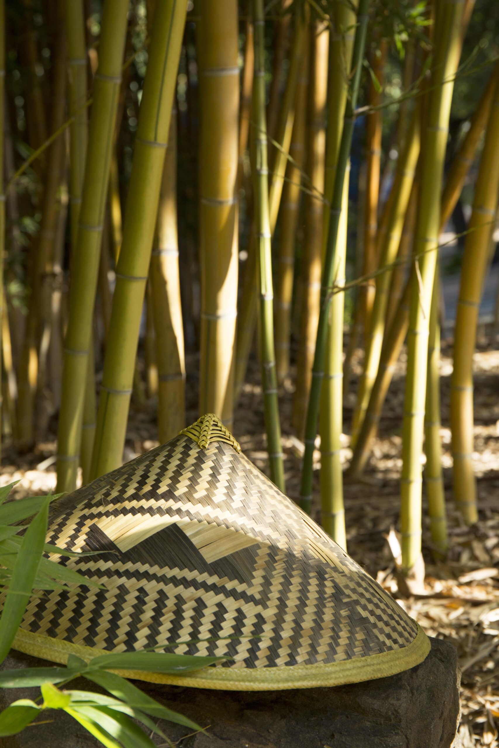 Kas bambusest valmistatud kangas on jätkusuutlik? 1