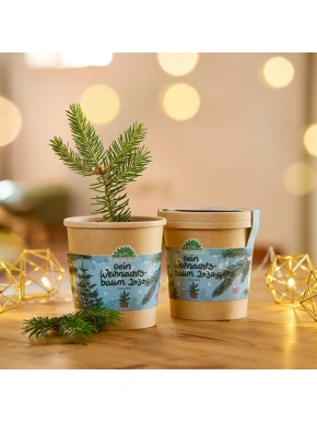 2030. aasta jõulupuu kasvatuskomplekt