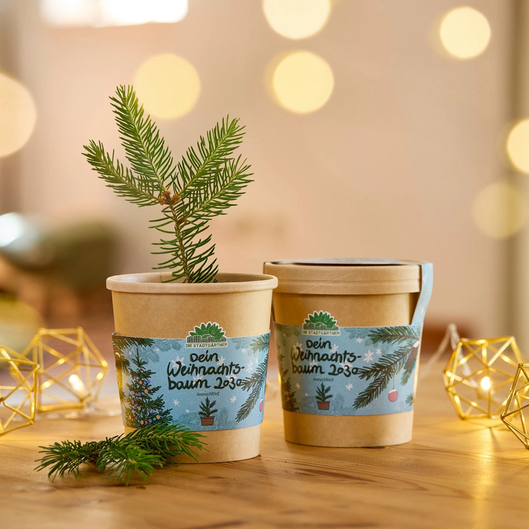 2030. aasta jõulupuu kasvatuskomplekt 1 2030. aasta jõulupuu kasvatuskomplekt