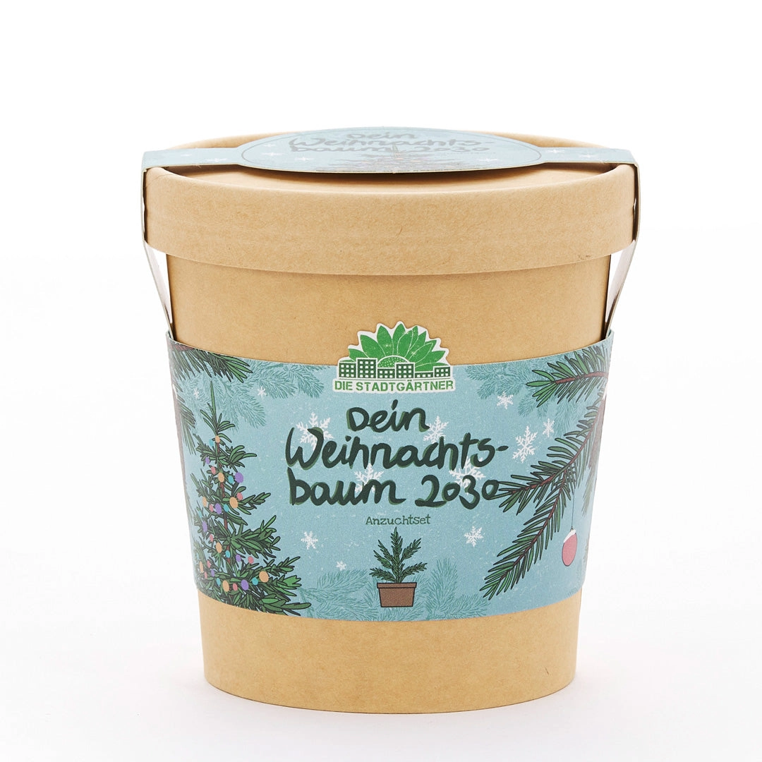 2030. aasta jõulupuu kasvatuskomplekt 2 2030. aasta jõulupuu kasvatuskomplekt