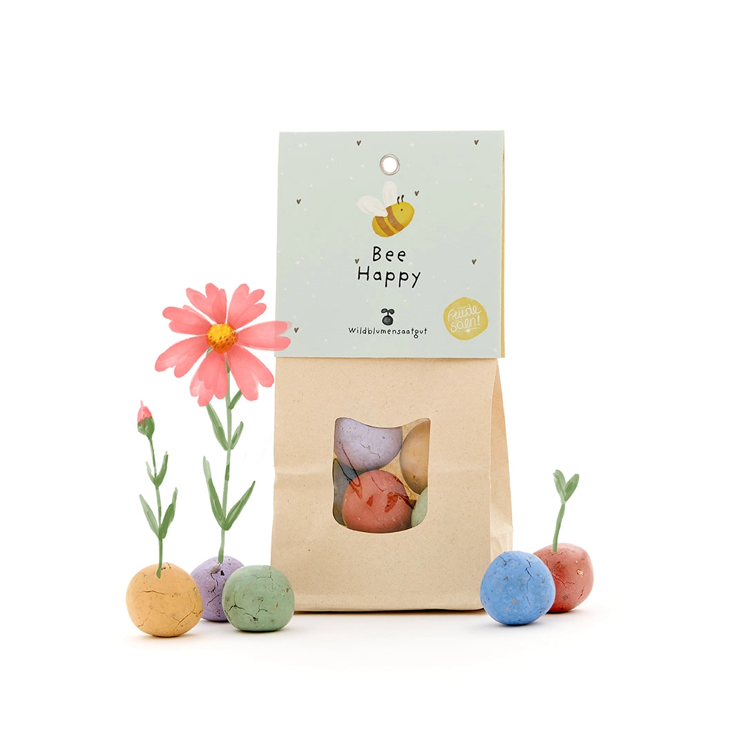 Bee Happy – värvilised lilleseemne pallid 1 Bee Happy – värvilised lilleseemne pallid