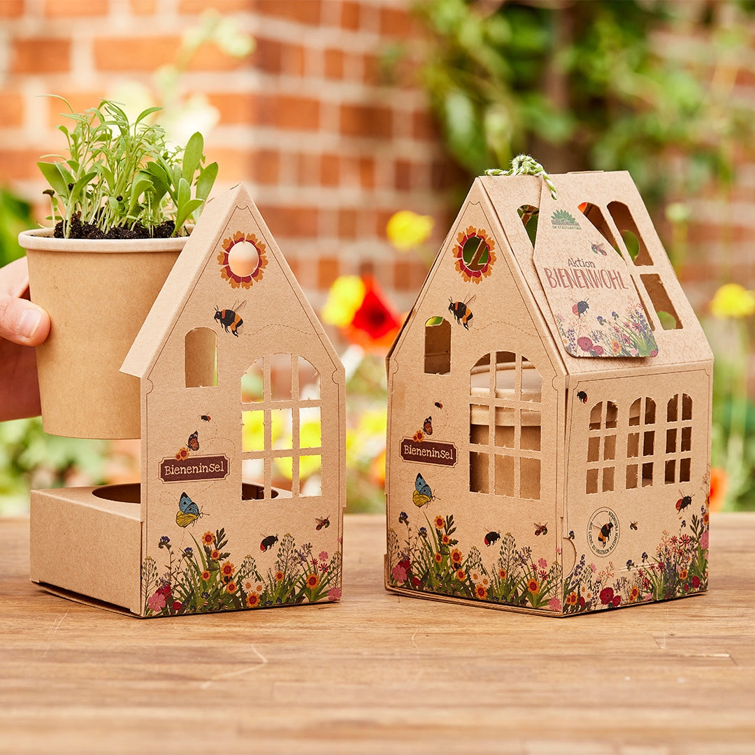 Kasvuhoone "Mesilaste saar" 1 Kasvuhoone "Mesilaste saar"