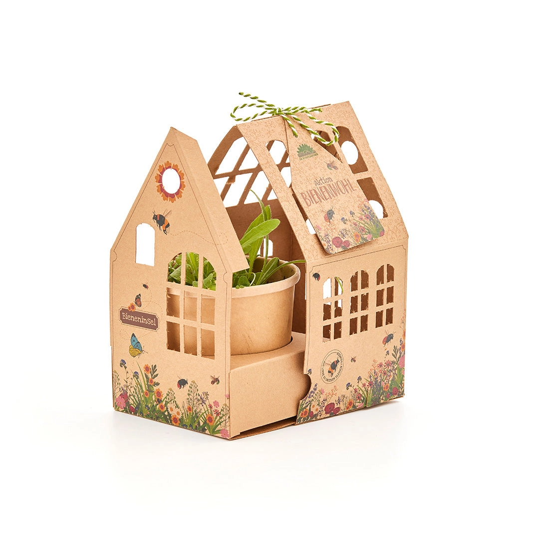 Kasvuhoone "Mesilaste saar" 2 Kasvuhoone "Mesilaste saar"