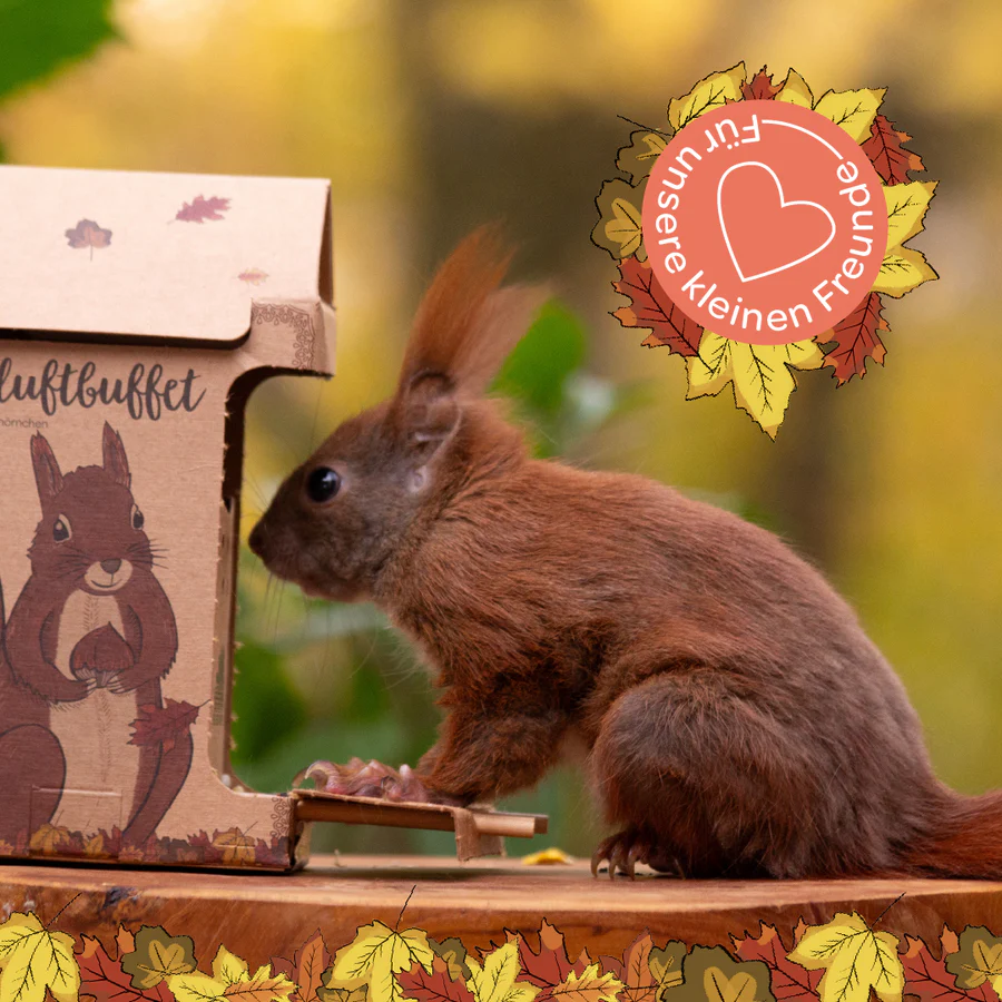 Komplekt „Orava söögimaja ja orava toit“ 3 Komplekt „Orava söögimaja ja orava toit“