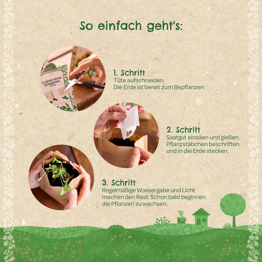 Miniaed – MAHE tšilli 6 Miniaed – MAHE tšilli