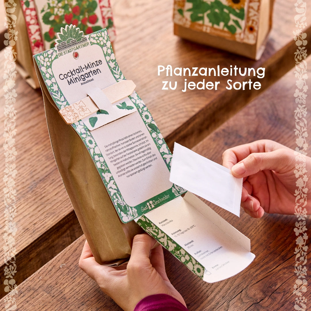 Miniaed – MAHE tšilli 5 Miniaed – MAHE tšilli