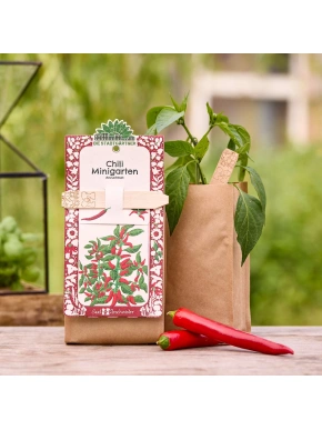 Miniaed – MAHE tšilli