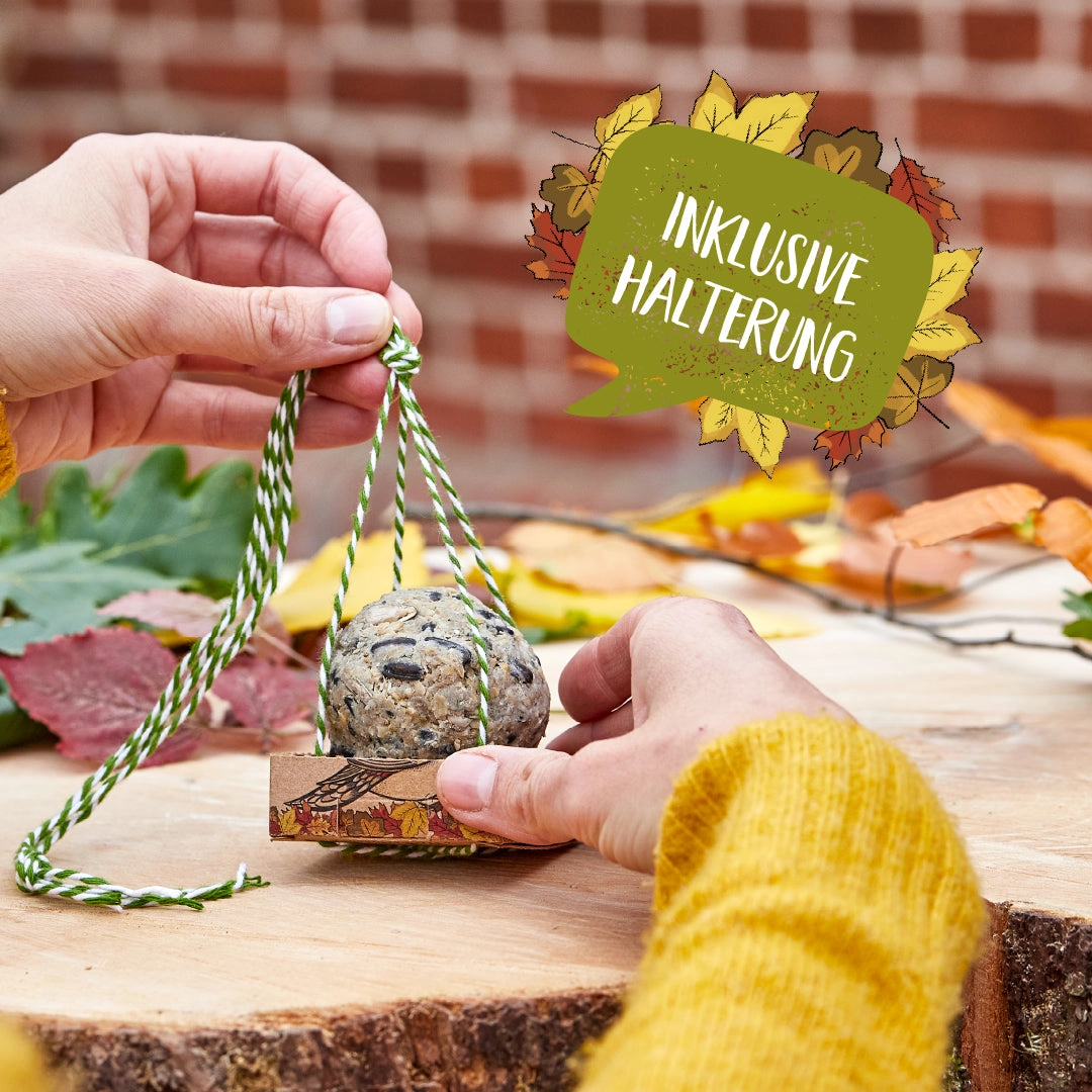 Mahe rasvapall aialindudele 2 Mahe rasvapall aialindudele - Image 2