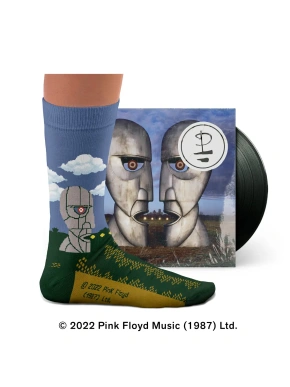 Sokid – Pink Floyd “Division Bell”