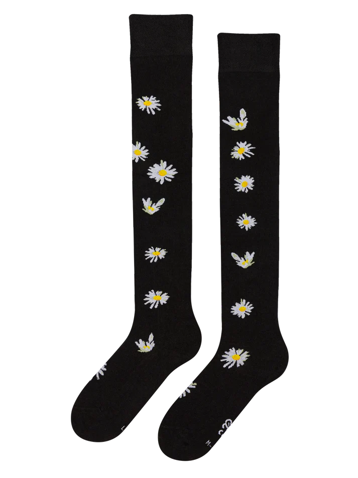 Ülepõlvepõlvikud "Karikakrad öös" 5 Ülepõlvepõlvikud "Karikakrad öös"