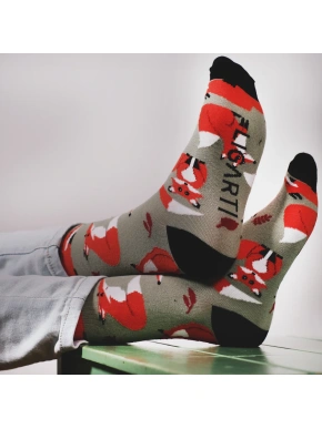 Sokid “Rebaste kogunemine”