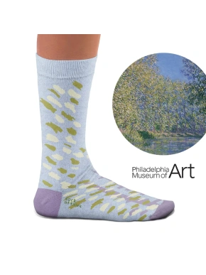 Sokid Epte jõekäär