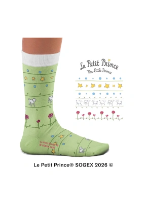 Sokid “Joonista mulle lammas”